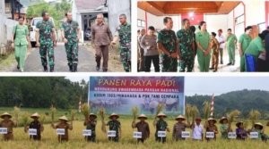 Sinergi Kodim 1302 Minahasa dan Petani Minahasa Sukses Panen Raya 5 Hektare, Perkuat Ketahanan Pangan Lokal