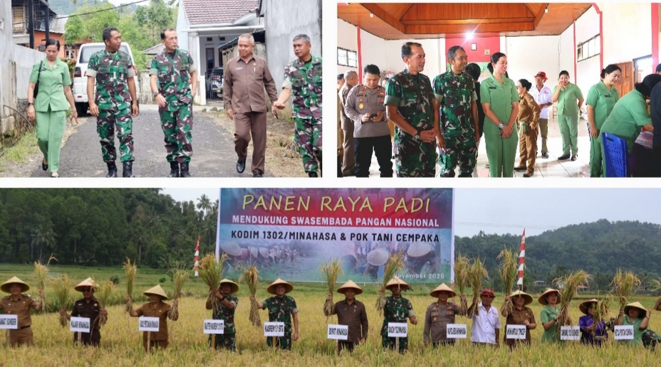 Sinergi Kodim 1302 Minahasa dan Petani Minahasa Sukses Panen Raya 5 Hektare, Perkuat Ketahanan Pangan Lokal