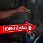 Seorang Petani di Touliang Oki Ditemukan Meninggal Dunia