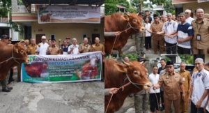 Bupati Robby Dondokambey Serahkan Sapi Bantuan Kemasyarakatan Presiden di Pineleng