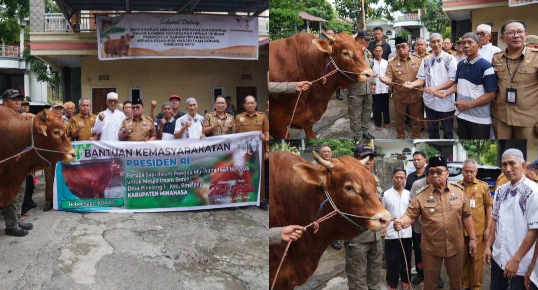 Bupati Robby Dondokambey Serahkan Sapi Bantuan Kemasyarakatan Presiden di Pineleng