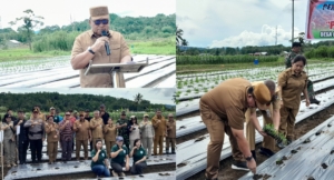 Bupati Robby Dondokambey: Cabai Rawit Sangat Memengaruhi Inflasi Daerah