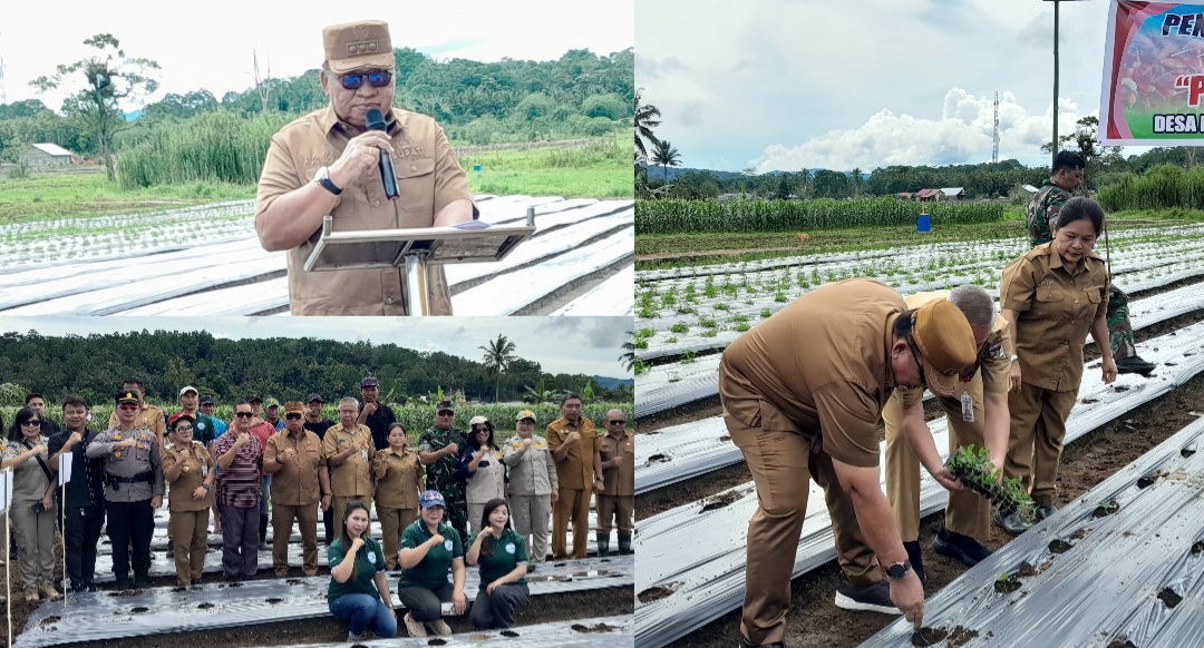 Bupati Robby Dondokambey: Cabai Rawit Sangat Memengaruhi Inflasi Daerah