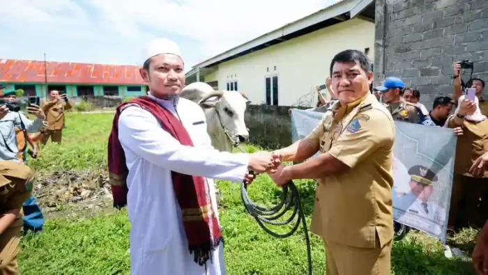 Gubernur Sulut Yulius Selvanus Serahkan Sapi Kurban Presiden di Bolaang Mongondow