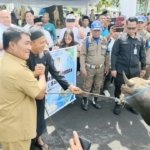 Pemprov Sulut Salurkan 46 Sapi Kurban ke 15 Kabupaten dan Kota