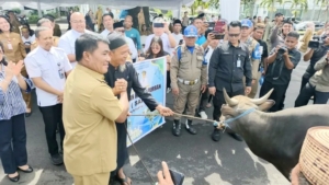 Pemprov Sulut Salurkan 46 Sapi Kurban ke 15 Kabupaten dan Kota