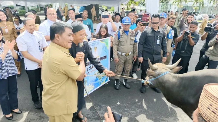 Pemprov Sulut Salurkan 46 Sapi Kurban ke 15 Kabupaten dan Kota