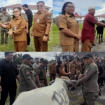 Pimpin Penyerahan Kurban Iduladha, Wabup Vanda Tegaskan Komitmen Toleransi Daerah