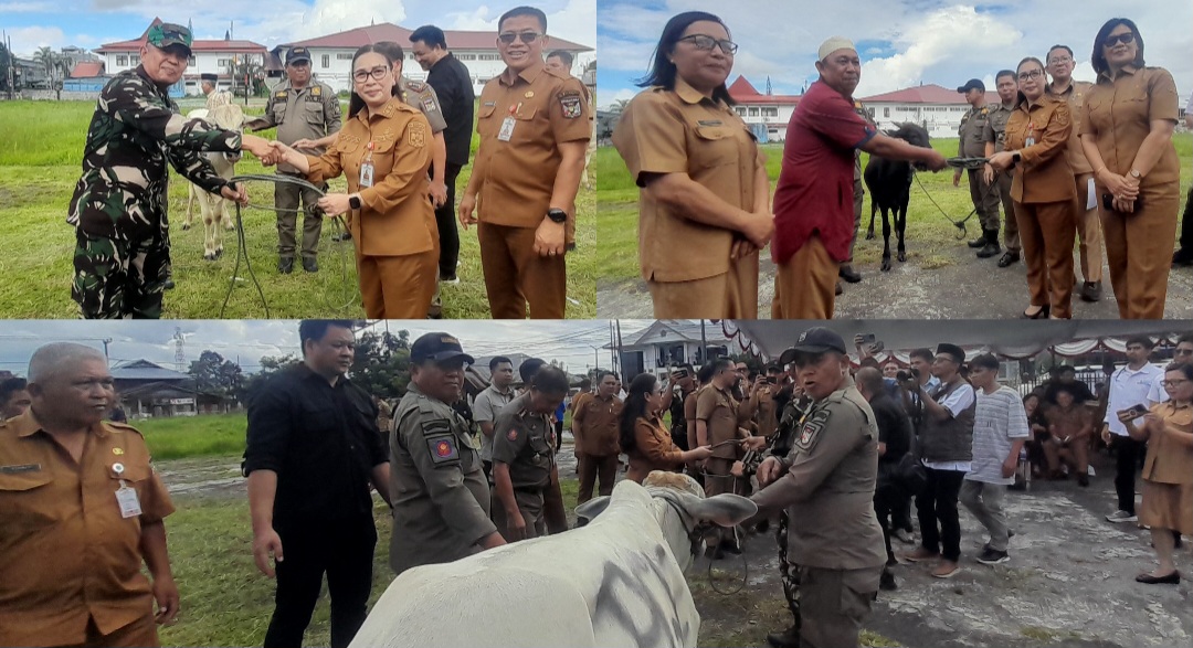 Pimpin Penyerahan Kurban Iduladha, Wabup Vanda Tegaskan Komitmen Toleransi Daerah