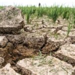 Mendagri Tito Minta Kepala Daerah Antisipasi Dampak El Nino, Waspadai Kebakaran Hutan dan Kekeringan