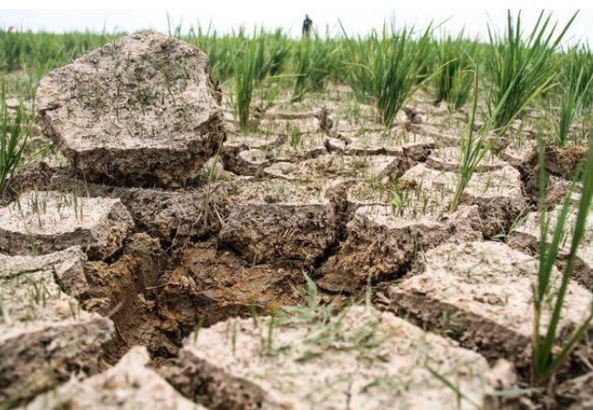 Mendagri Tito Minta Kepala Daerah Antisipasi Dampak El Nino, Waspadai Kebakaran Hutan dan Kekeringan