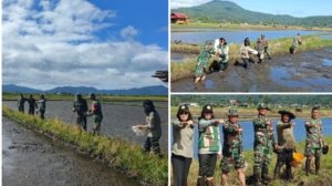 Sinergi TNI dan Petani Minahasa Pacu Swasembada Pangan