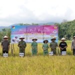 Bupati Robby Dondokambey Apresiasi Kolaborasi TNI dan Petani dalam Panen Perdana Minahasa