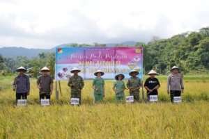 Bupati Robby Dondokambey Apresiasi Kolaborasi TNI dan Petani dalam Panen Perdana Minahasa