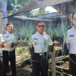 Lapas Kelas IIA Manado Manfaatkan Lahan Tidur untuk Ketahanan Pangan