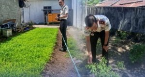 Lapas Bitung Manfaatkan Lahan Produktif untuk Ketahanan Pangan