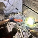 Polsek Kakas dan Tim Inafis Polres Minahasa Olah TKP Penemuan Kerangka Manusia di Perkebunan Desa Toulimembet