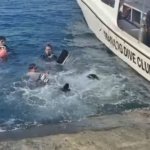 Mahasiswa Unsrat Matangkan Persiapan Upacara Bendera Bawah Laut Sambut HUT ke-81 RI