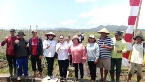 Wabup Vanda Targetkan Minahasa Jadi Sentra Baru Bawang Merah Lewat Pertanian Modern