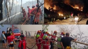 18 Jam Berjibaku, Damkar Minahasa dan Tim Gabungan Padamkan 10 Titik Kebakaran Lahan dan Rumah