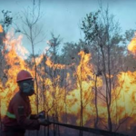 Bareskrim Polri Tetapkan 196 Orang Tersangka Kasus Kebakaran Hutan, Belum Ada Tersangka Libatkan Korporasi