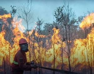 Mendagri Tito Karnavian Minta Semua Kepala Daerah Melarang Pembakaran Lahan Tanpa Terkecuali