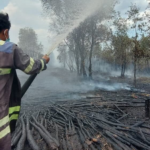 DPR Minta Pemerintah Segera Berlakukan Kejadian Luar Biasa Kasus Kebakaran Hutan