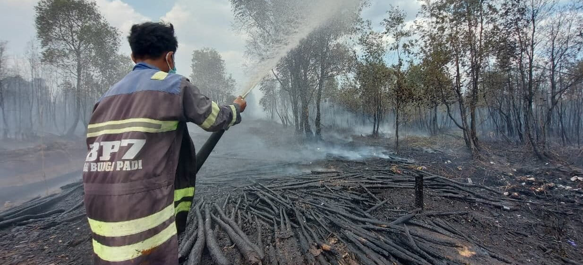 DPR Minta Pemerintah Segera Berlakukan Kejadian Luar Biasa Kasus Kebakaran Hutan