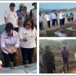 Wakil Bupati Minahasa Vanda Sarundajang Tinjau Kondisi Pertanian dan Serap Aspirasi Petani