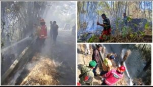 Kebakaran di Tataaran Kasuang Berhasil Dipadamkan, Damkar Minahasa Berjibaku Selama Empat Jam