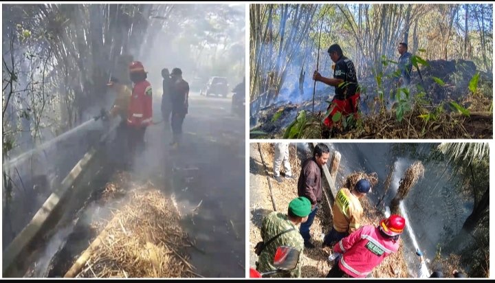 Kebakaran di Tataaran Kasuang Berhasil Dipadamkan, Damkar Minahasa Berjibaku Selama Empat Jam
